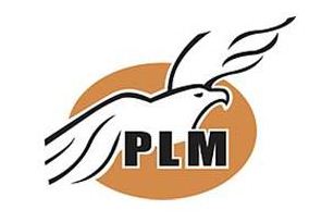 110718partido-liberal-mexicano